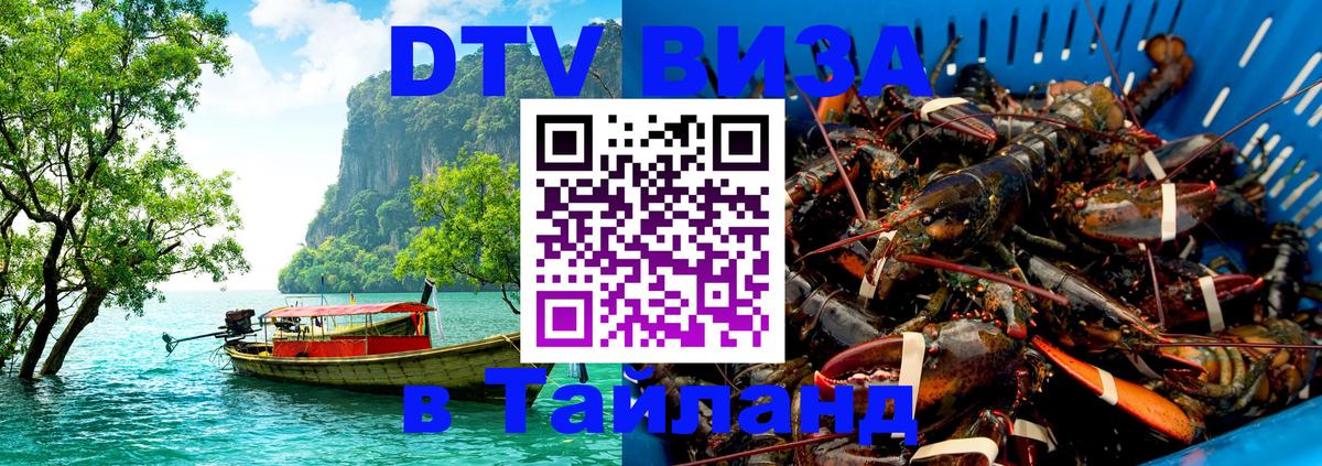 Сколько стоит DTV виза — актуальные цены, оформление даже без документов - Маскат  19.11.2025 